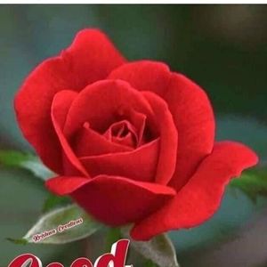 Meet your Posher, Bijali